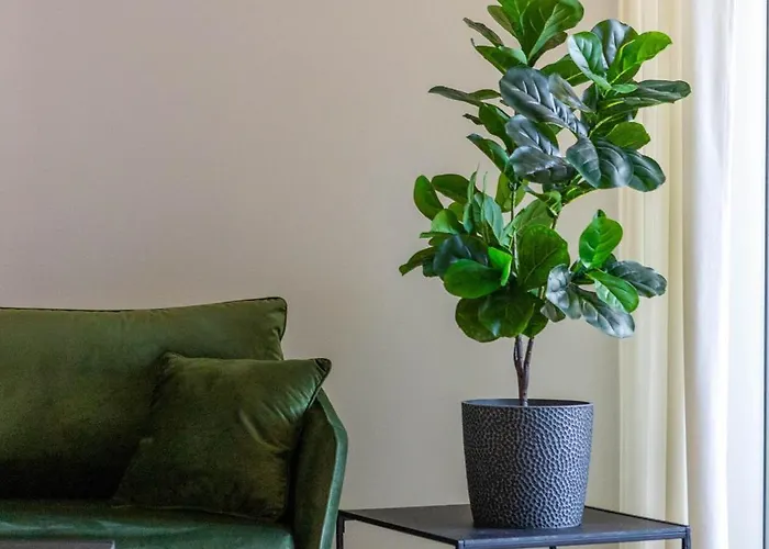 Melnrage Ii Terasa Appartamento *