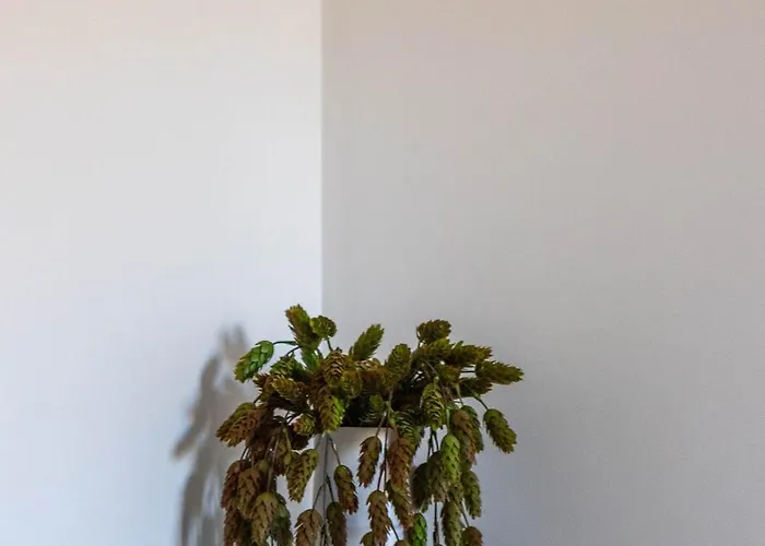 Appartamento Melnrage Ii Terasa